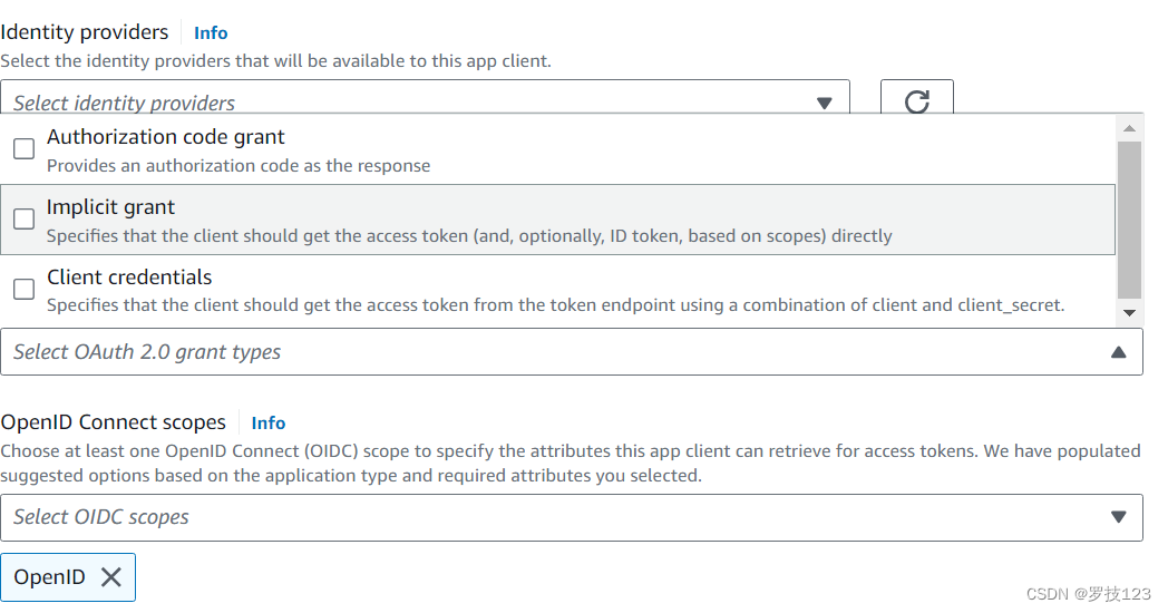 API Gateway 认证实践：IAM、Lambda、Cognito 与 JWT配图