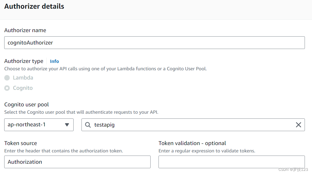 API Gateway 认证实践：IAM、Lambda、Cognito 与 JWT配图